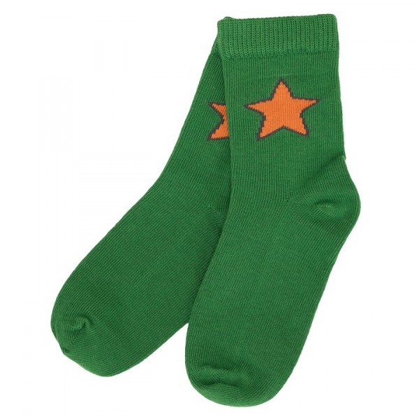 Villervalla Socken clover