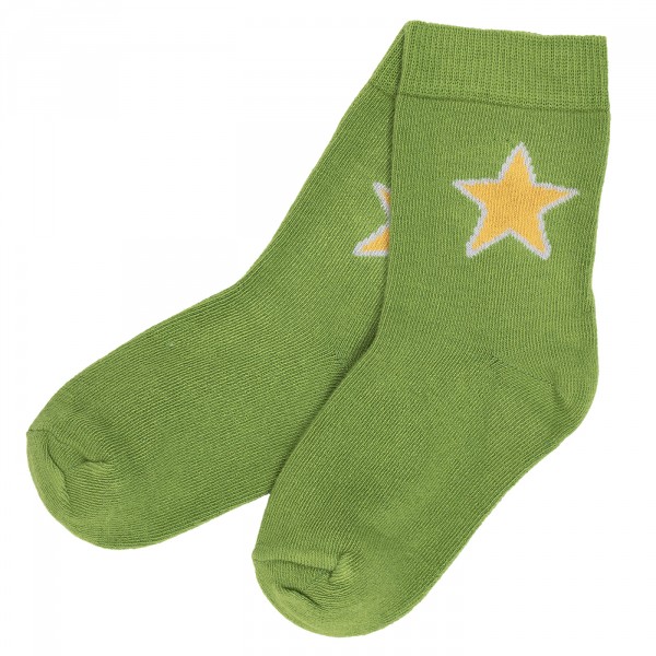 Villervalla Socken moss